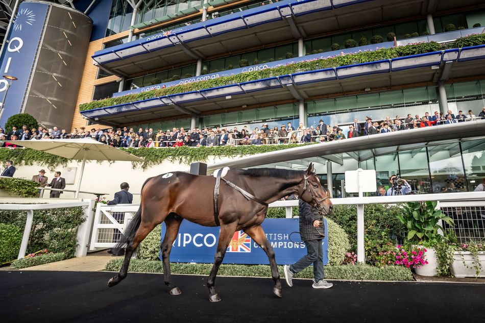 A million pound sale and winners flowing!