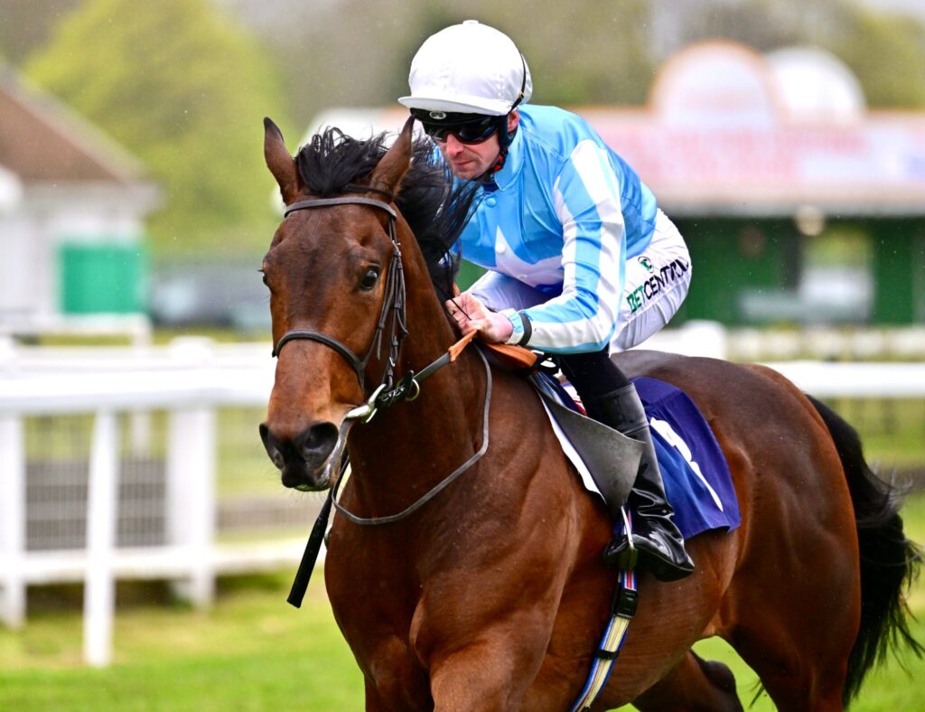 Fifty Nifty lands HQ prize