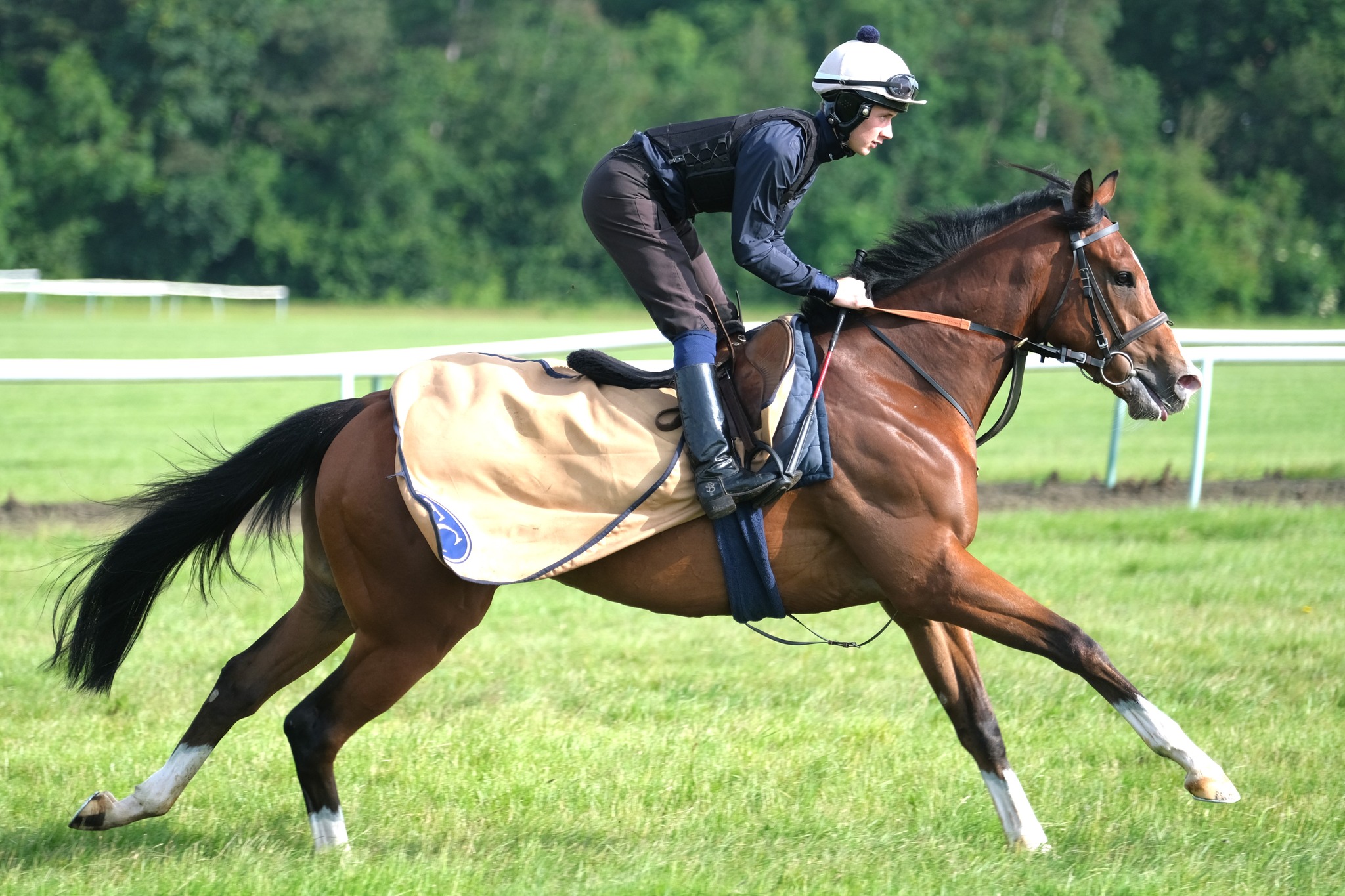 Harvard Sound wins easily