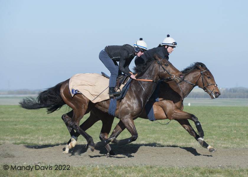 Jungle Run wins again