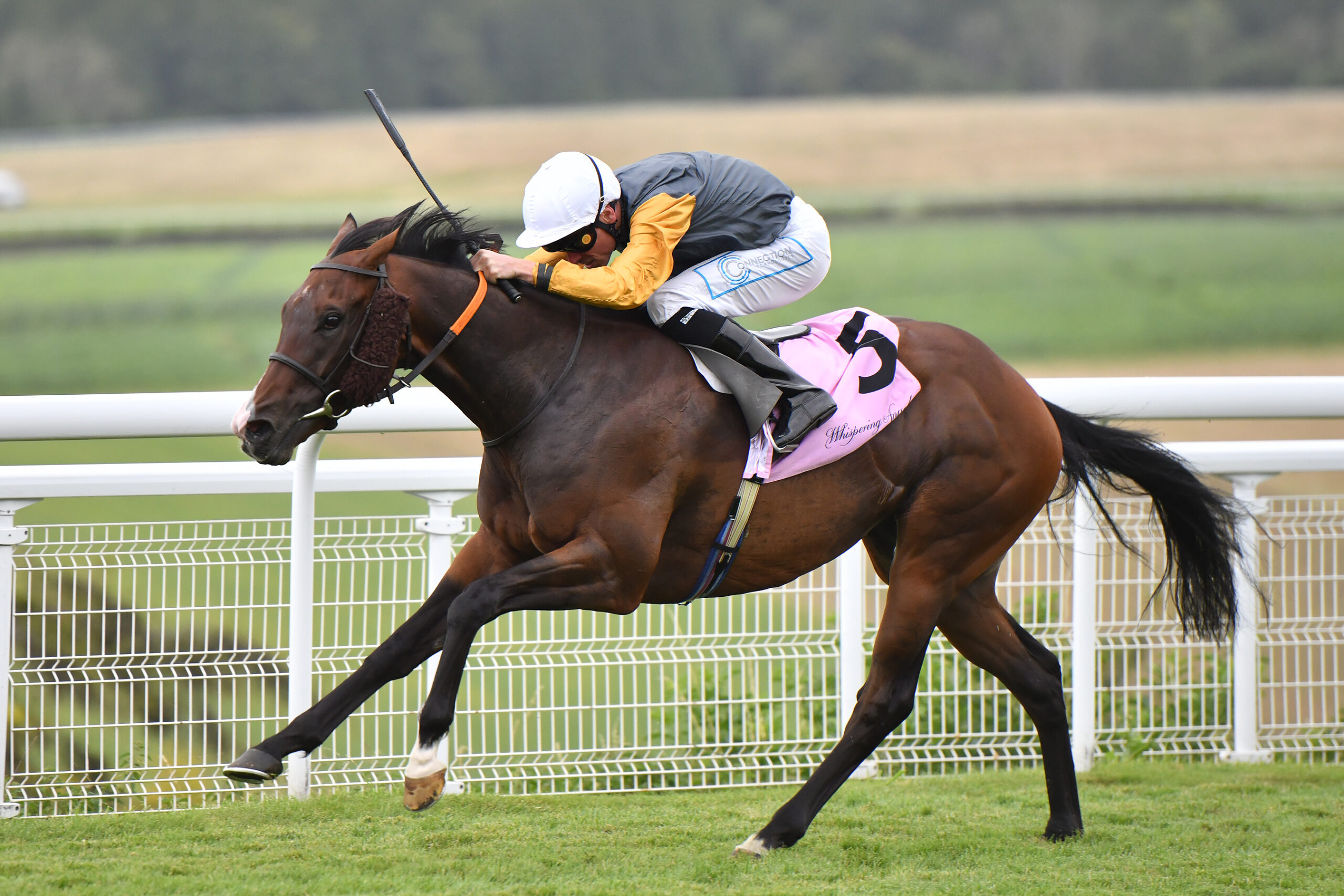 Listed strike for Witness Stand