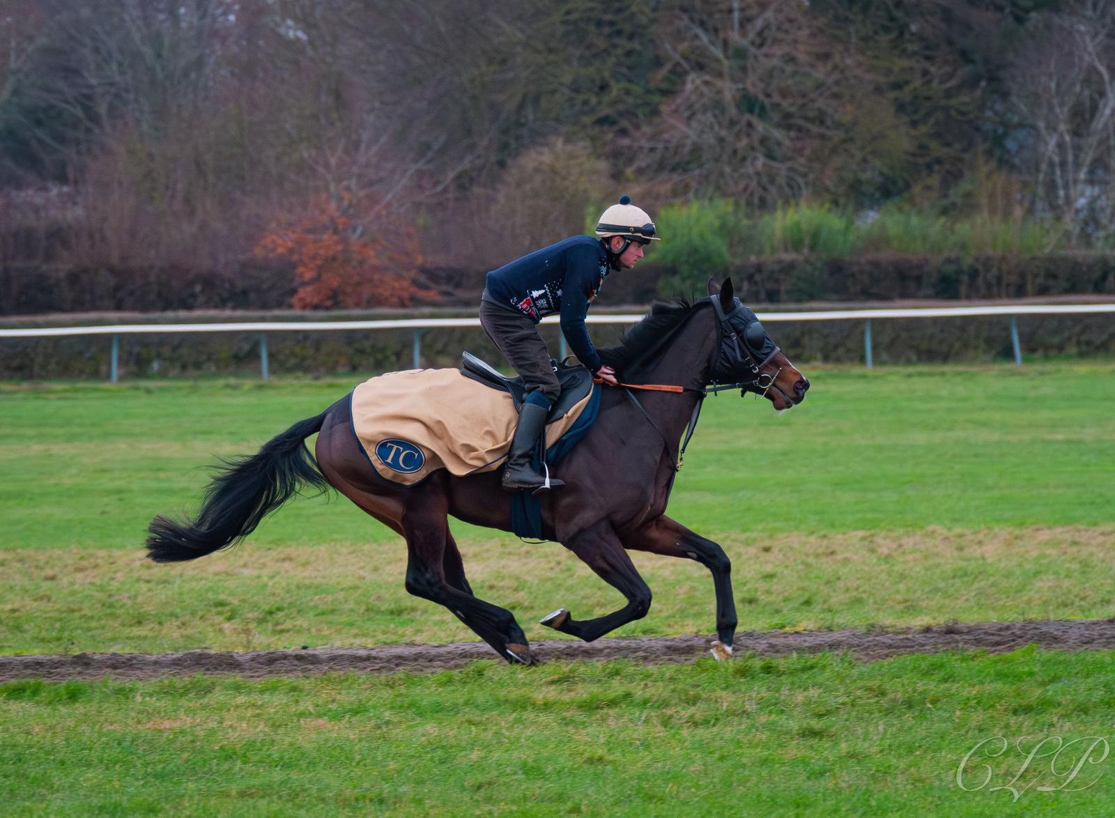 Miss Funky Monk gets 2025 off to a flyer