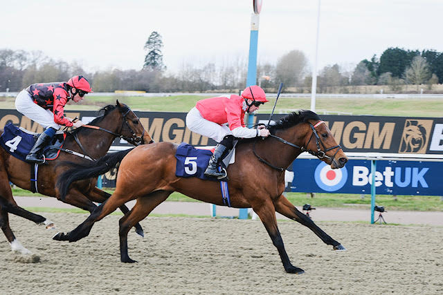 Photosynthesis and Thebeautifulgame hit the target