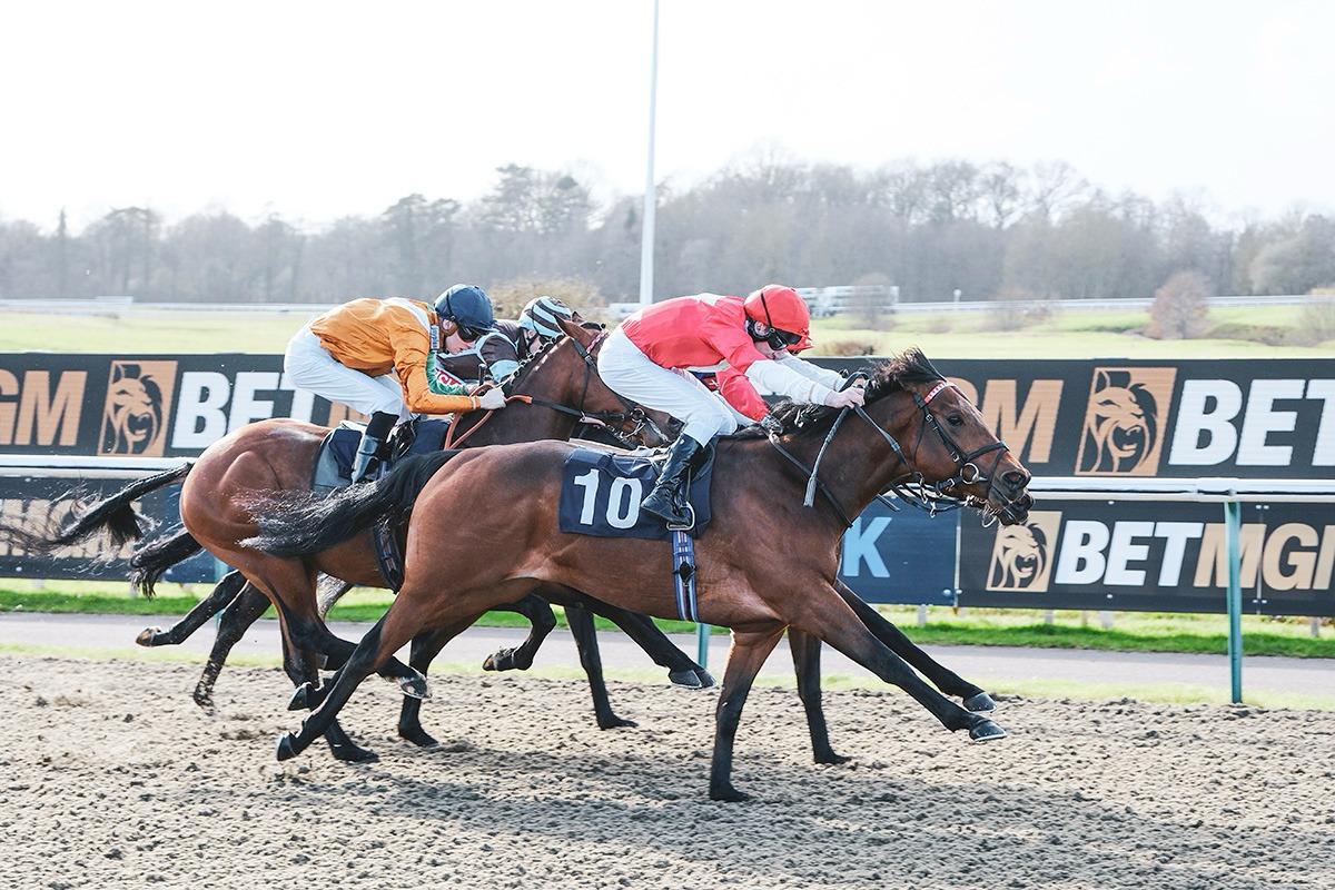 Photosynthesis scoops big prize