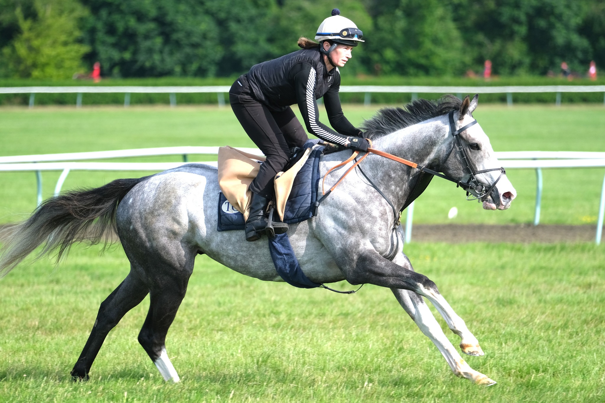 Rocking Ends and Desdemona sprint to success