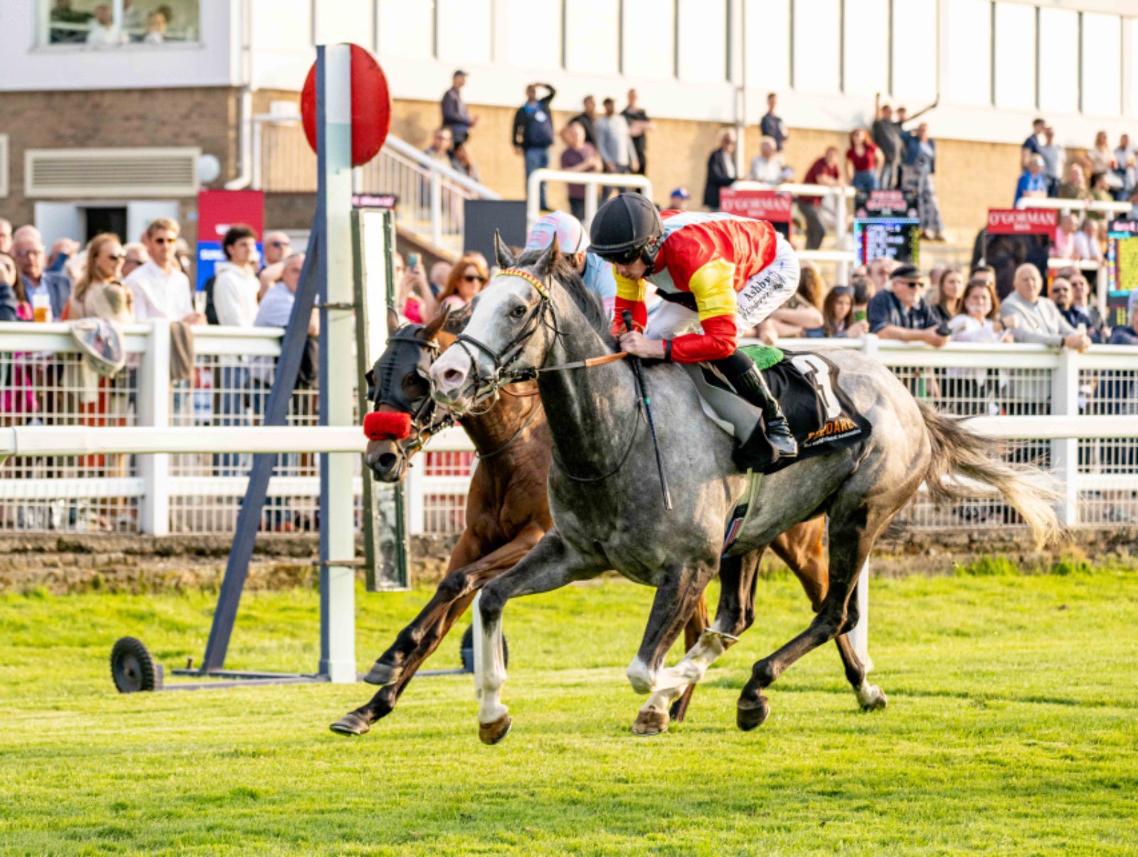 Rocking Ends strikes on stable debut