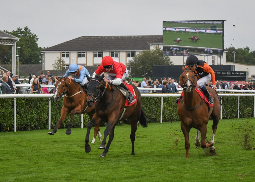 Rogue Lightning lands Listed prize