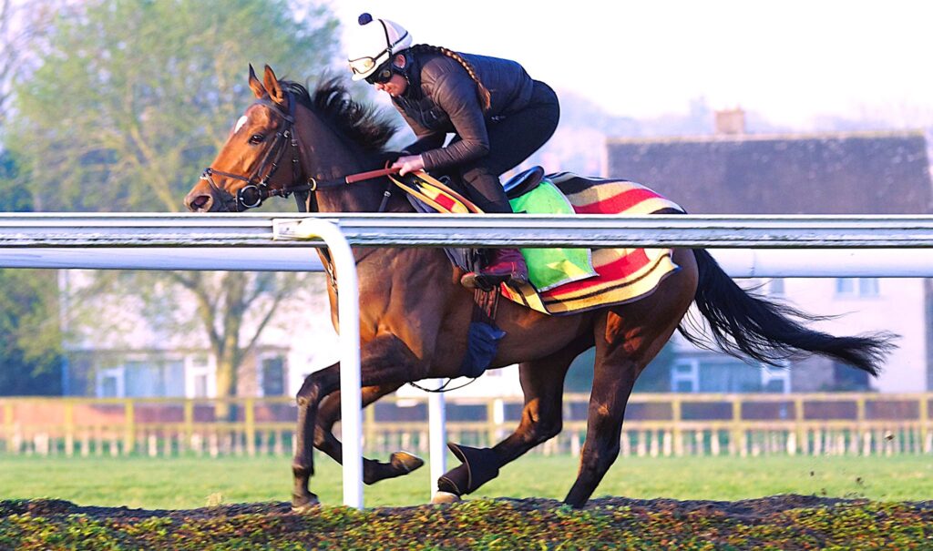 Sea Emily Run in game success