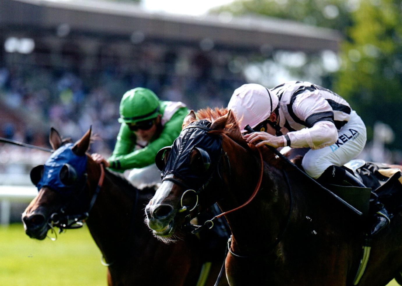 Showyoutheropes in gutsy HQ win