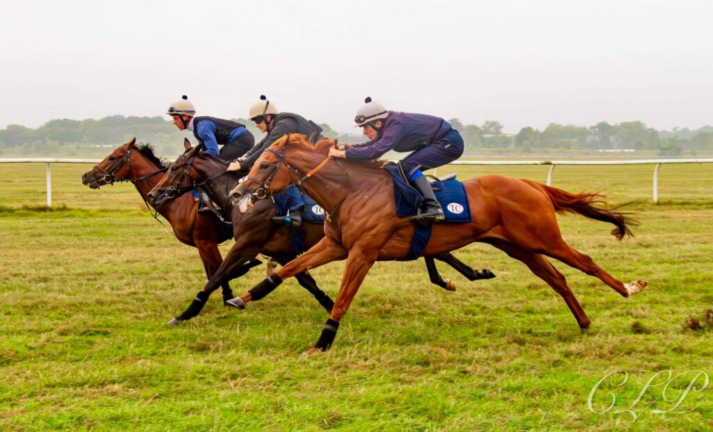 Sixtiesgeesbaby ends the 2024 turf season in style