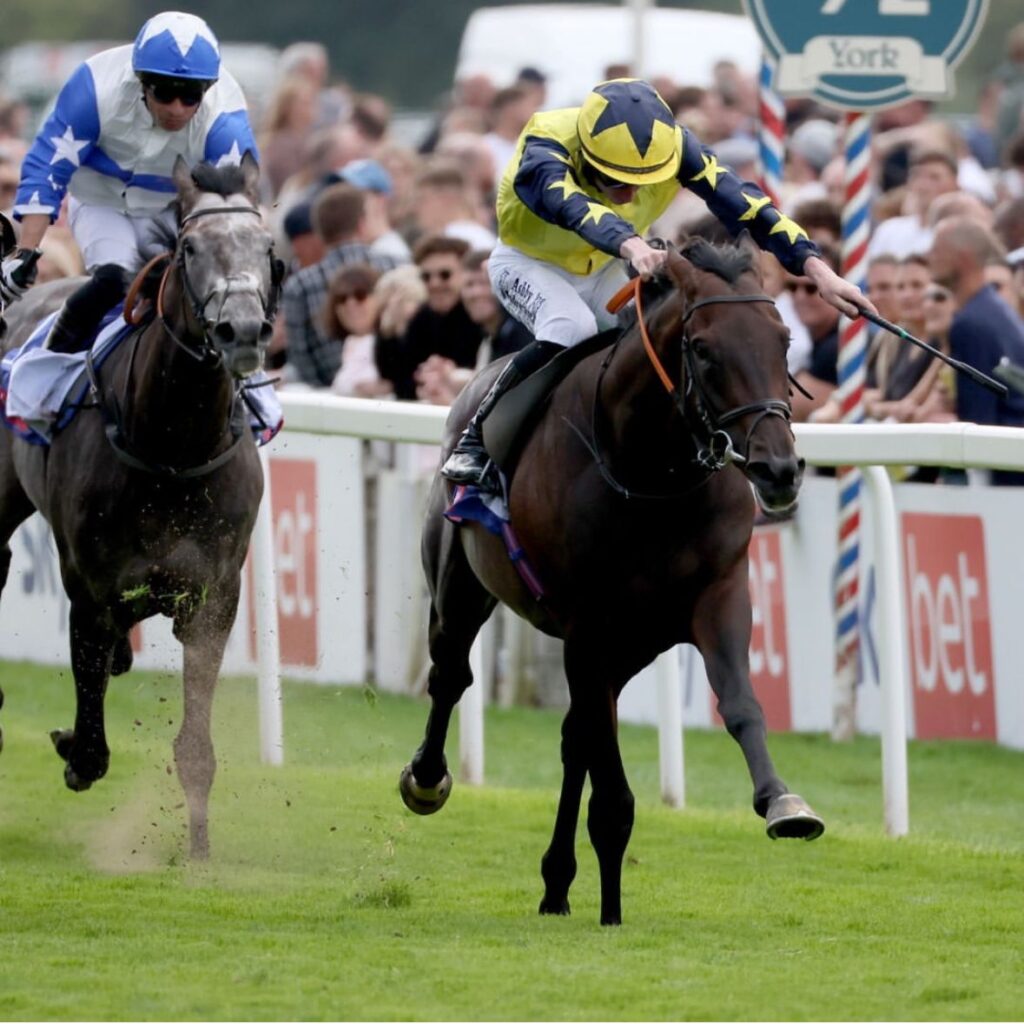 Tabletalk Melrose victory caps a magic week