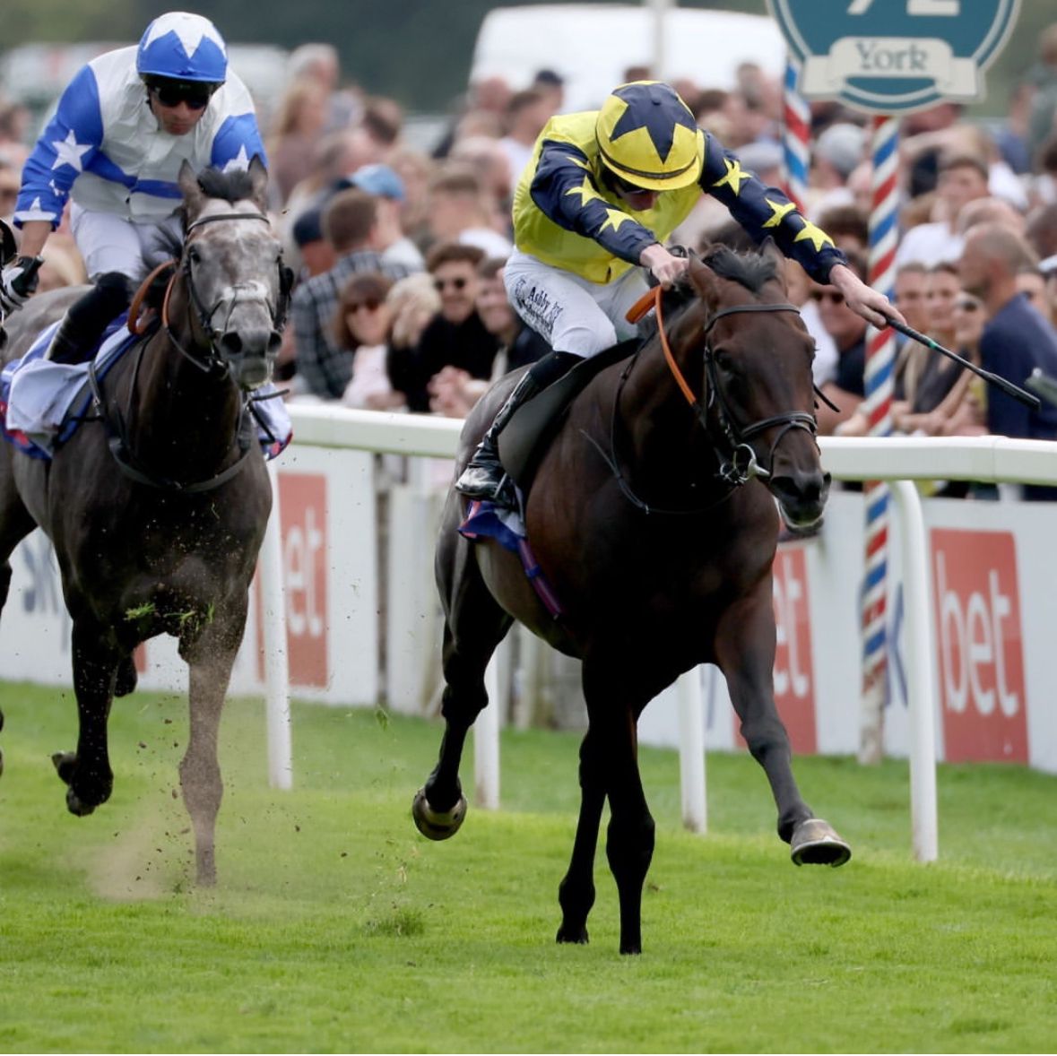 Tabletalk Melrose victory caps a magic week