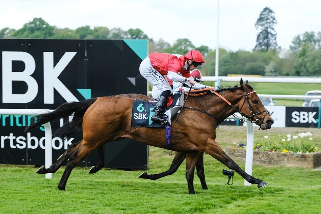 Welcome to our new website!