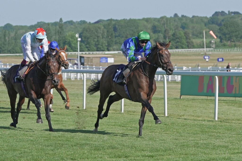 Zarakerjack wins on handicap debut