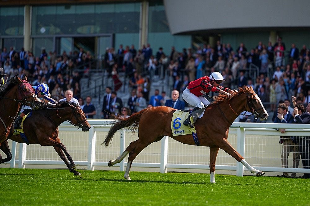 Victoria Cup triumph for Wizard of Eye