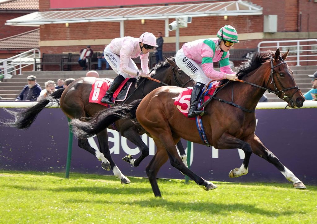 Deserved win for Ammoony