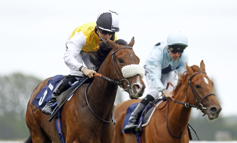 Leonardo Blu and Sea Cookie keep the winners coming