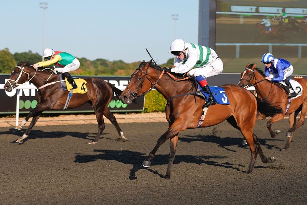 Arrivera wins at Kempton
