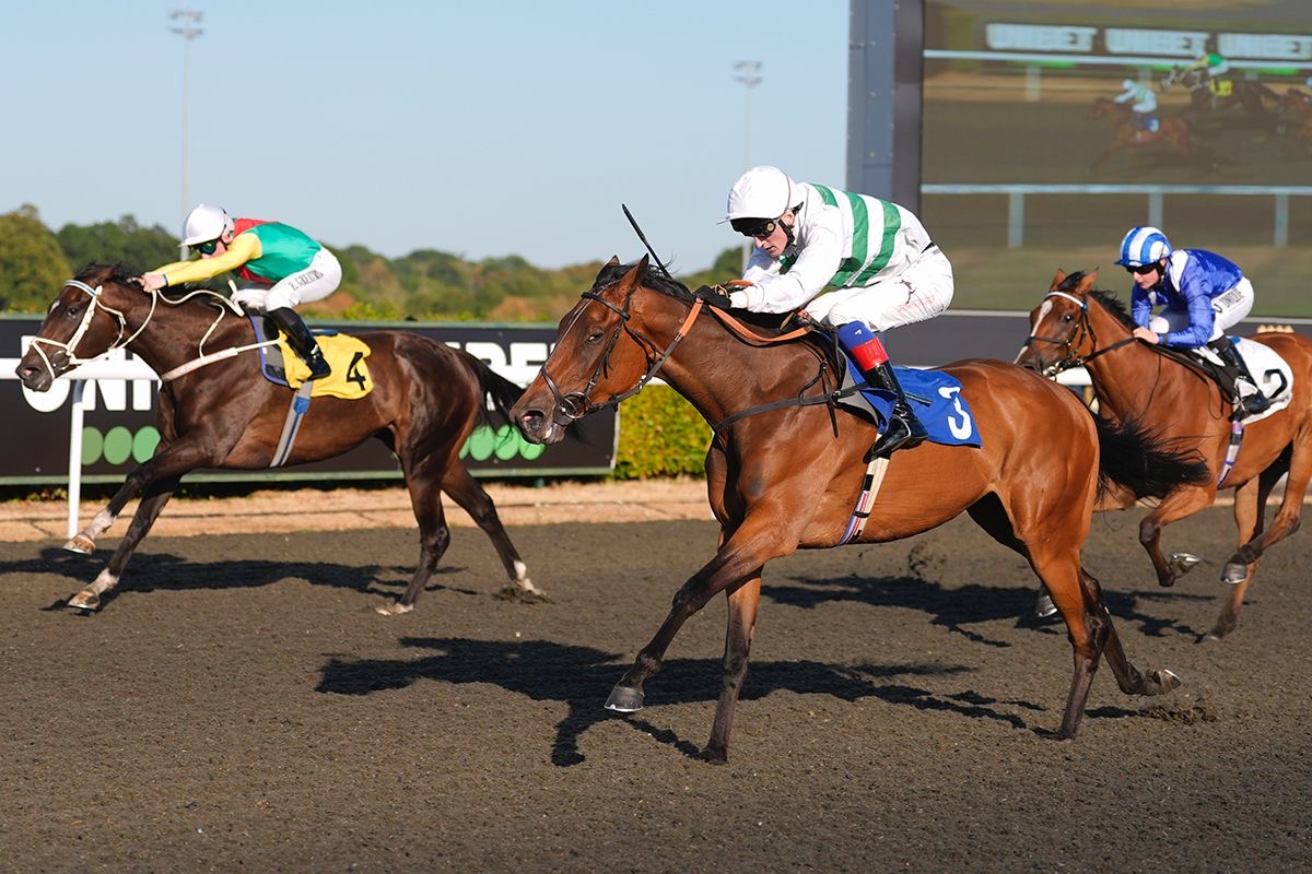 Arrivera wins at Kempton