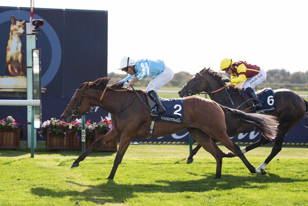 Group 3 win for Fuel The Jet and Hamda off the mark