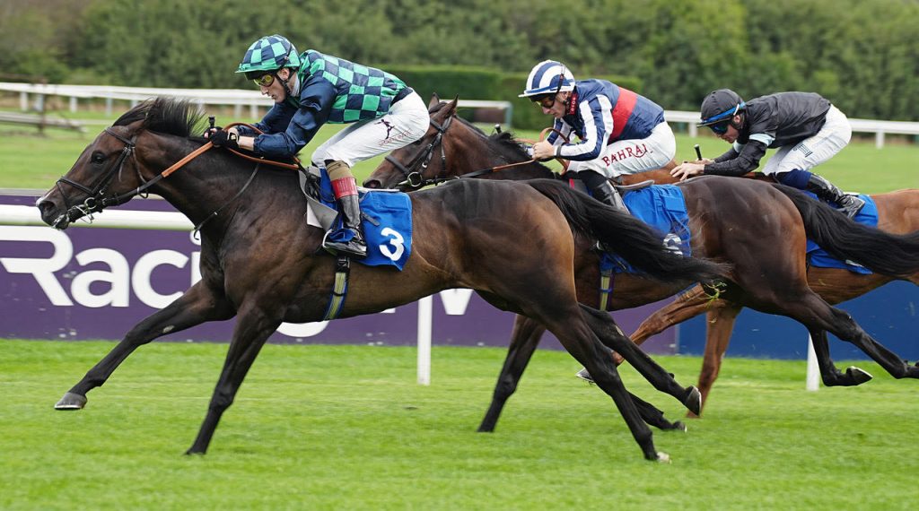 Koko Blue and Magic Harry off the mark